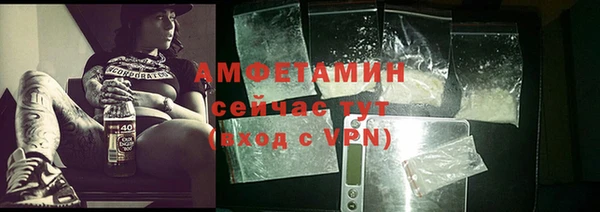 сатива Балахна