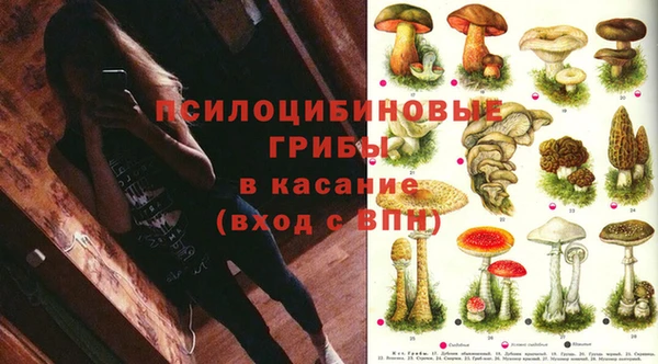 сатива Балахна