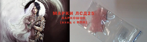 сатива Балахна
