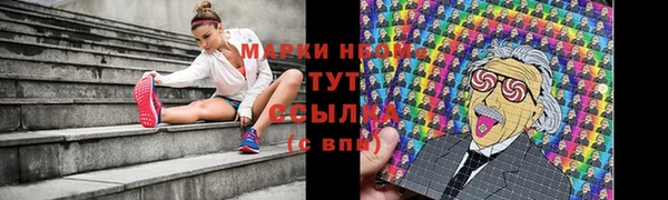 сатива Балахна